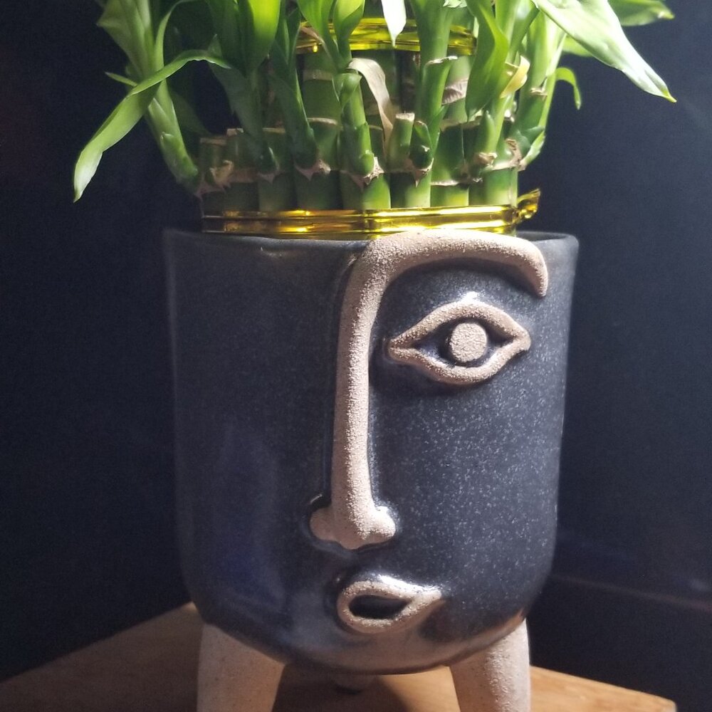 NEW LOWEST $$$  FACE PLANTER: EXPRESSIONIST ARTWORK  GREAT GIFT LAST 4 EVER !! - Picture 13 of 15